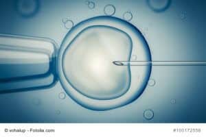 IVF (in vitro fertilisation)